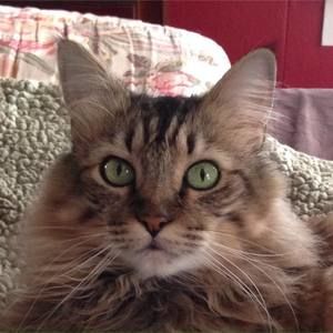 Meet your Posher, Angi